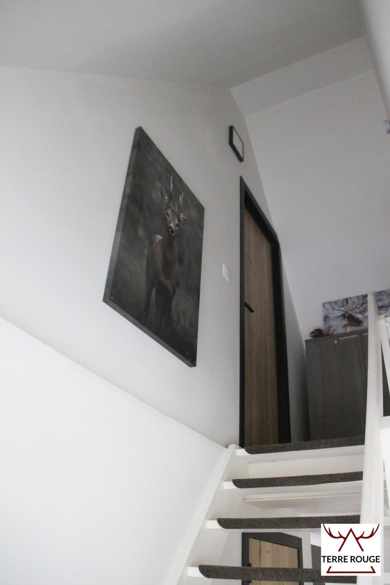 Terre Rouge - Terrasses de Malmedy Chalet 40 Eksteriør billede